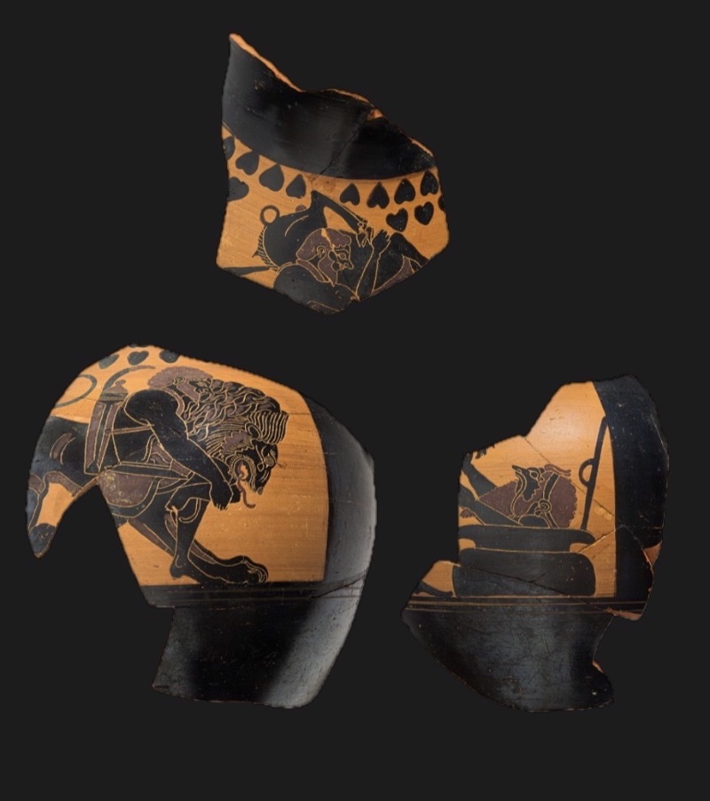 Fragmente einer chalkidischen Amphora Sammlung Erschliessung